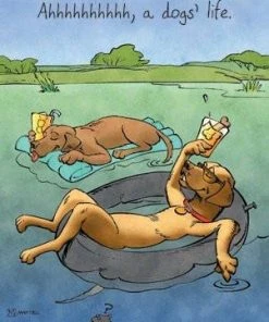 Far Gone Greetings Birthday Ahhhhhhhhh, A Dog's Life Greeting Card | Other